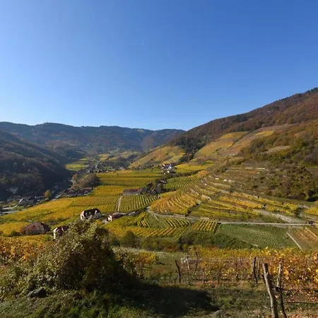 Weingut Piewald *