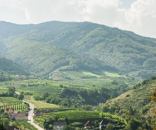 Weingut Piewald アパート *