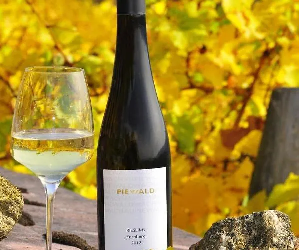 Weingut Piewald アパート Gut am Steg