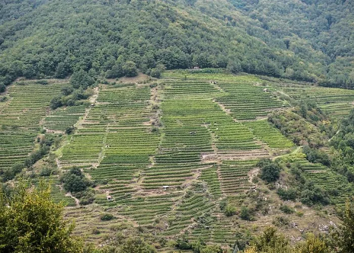 アパート Weingut Piewald *